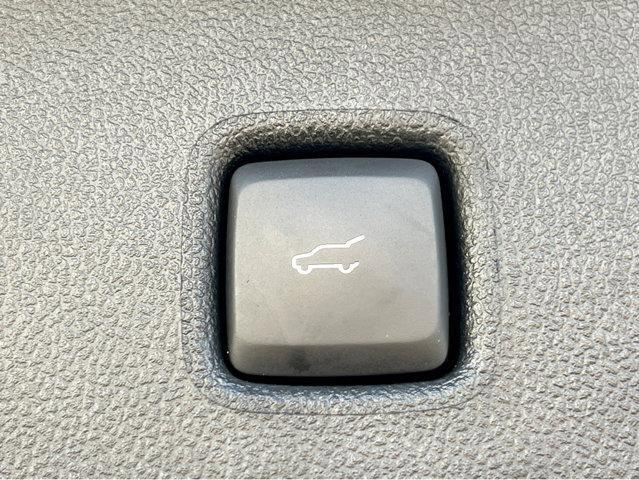 2023 Ford Escape Vehicle Photo in Savannah, GA 31419