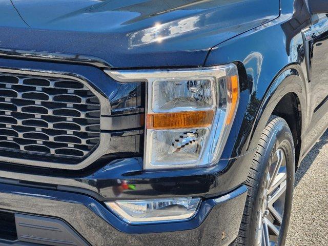 2021 Ford F-150 Vehicle Photo in SUGAR LAND, TX 77478-0000