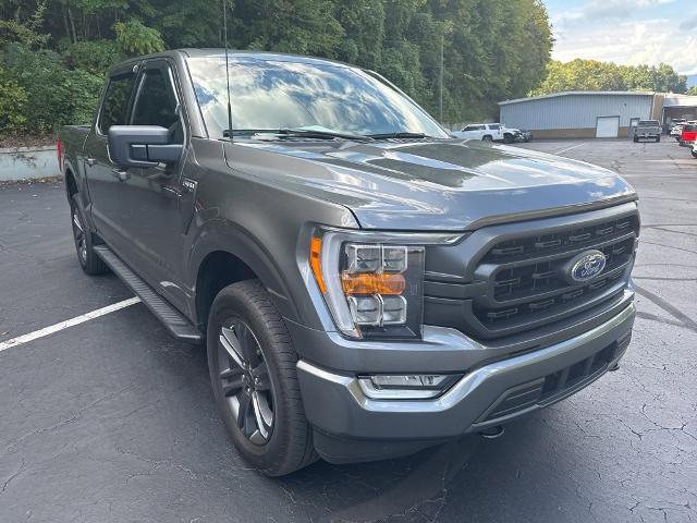 2023 Ford F-150 Vehicle Photo in MARION, NC 28752-6372