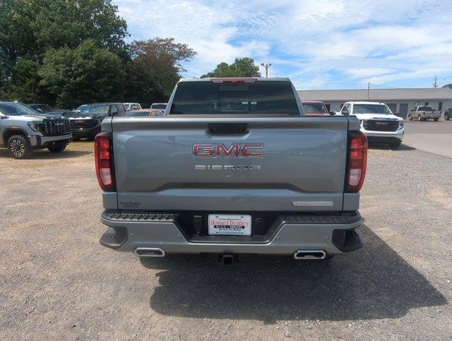 2025 GMC Sierra 1500 Vehicle Photo in ALBERTVILLE, AL 35950-0246