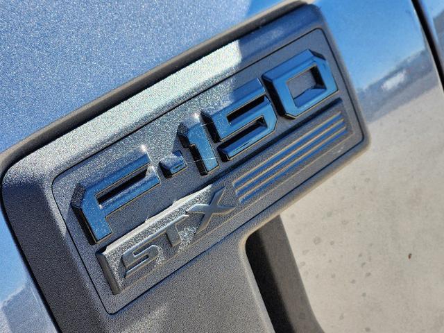 2024 Ford F-150 Vehicle Photo in Pilot Point, TX 76258