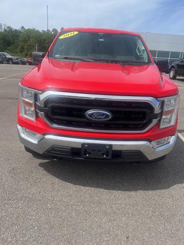 2021 Ford F-150 Vehicle Photo in Jackson, OH 45640-9766