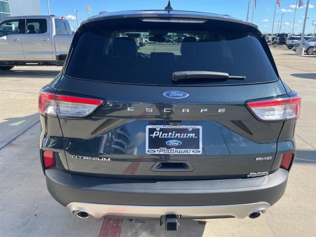 2022 Ford Escape Vehicle Photo in Terrell, TX 75160