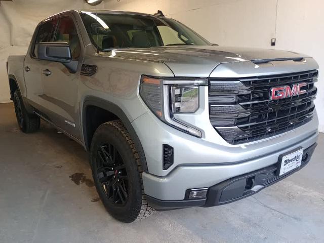 2025 GMC Sierra 1500 Vehicle Photo in RED SPRINGS, NC 28377-1640