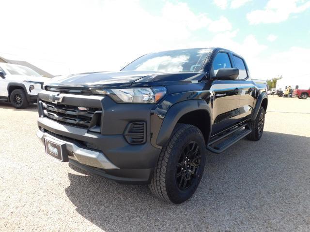 2024 Chevrolet Colorado Vehicle Photo in Weatherford, TX 76087