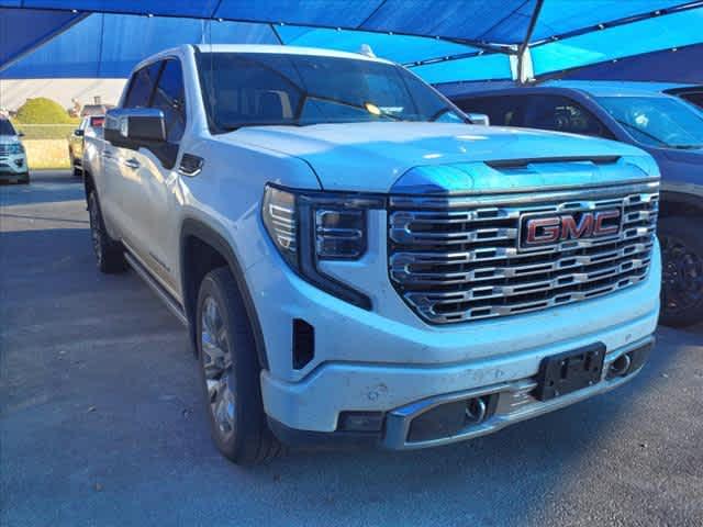 2023 GMC Sierra 1500 Vehicle Photo in Decatur, TX 76234