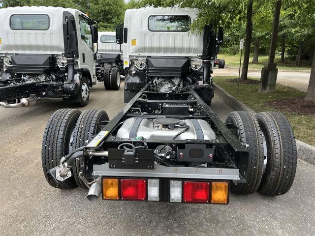 2025 Chevrolet Low Cab Forward 3500 Vehicle Photo in ALCOA, TN 37701-3235