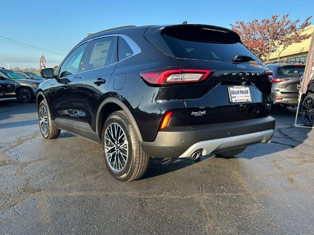 2025 Ford Escape Vehicle Photo in Danville, KY 40422-2805