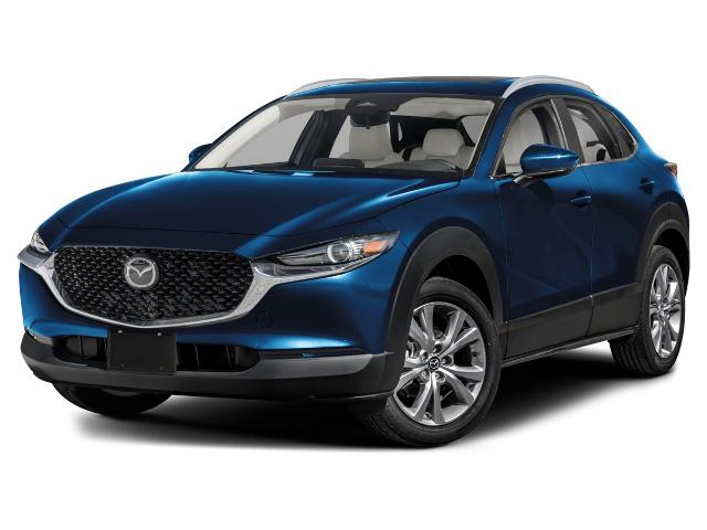 2025 Mazda CX-30 Vehicle Photo in Danville, KY 40422