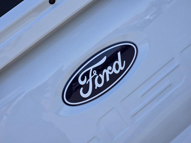 2024 Ford F-150 Vehicle Photo in STEPHENVILLE, TX 76401-3713