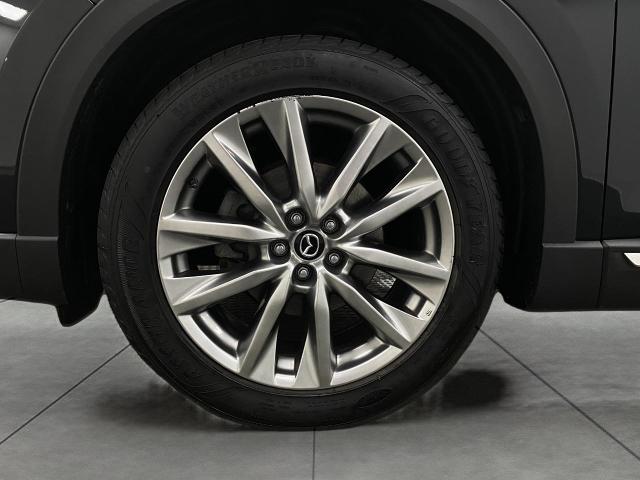 2016 Mazda CX-9 Vehicle Photo in Appleton, WI 54913