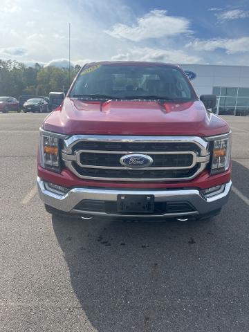 2021 Ford F-150 Vehicle Photo in Jackson, OH 45640-9766