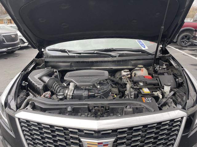 2021 Cadillac XT5 Vehicle Photo in WILLIAMSVILLE, NY 14221-4303