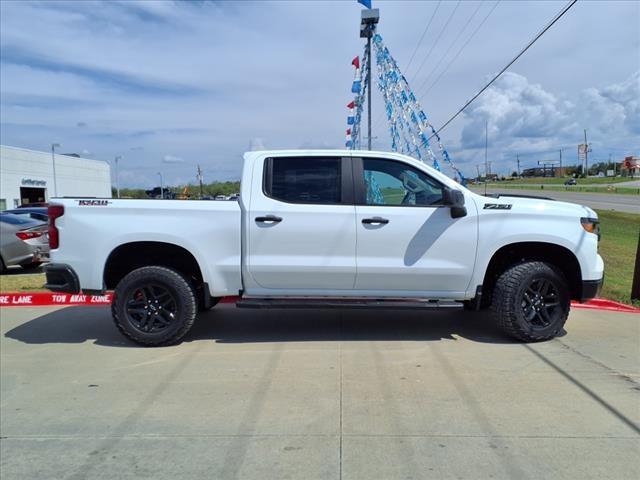 2024 Chevrolet Silverado 1500 Vehicle Photo in ELGIN, TX 78621-4245