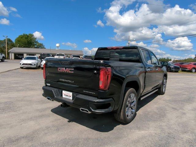 2024 GMC Sierra 1500 Vehicle Photo in ALBERTVILLE, AL 35950-0246