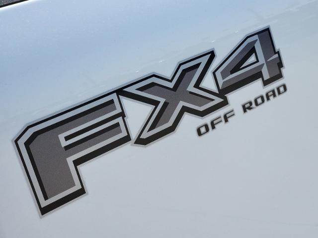 2024 Ford Super Duty F-250 SRW Vehicle Photo in Pilot Point, TX 76258-6053