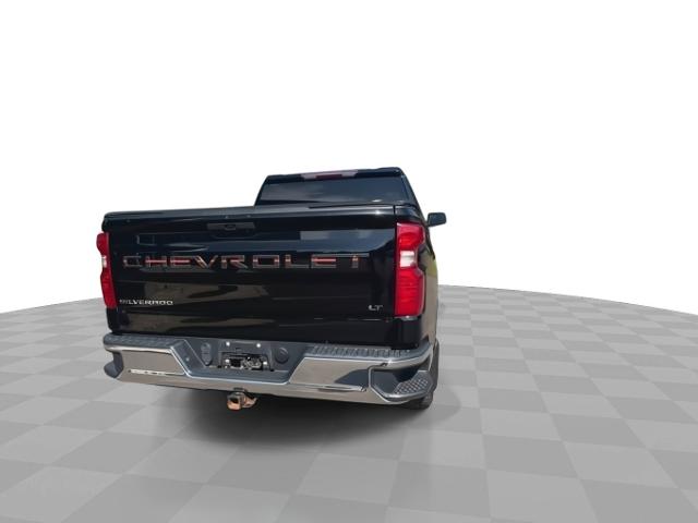 2019 Chevrolet Silverado 1500 Vehicle Photo in BOSTON, NY 14025-9684