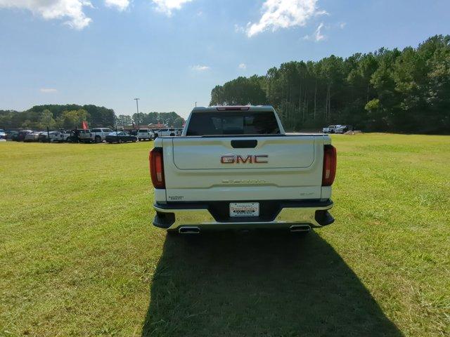 2024 GMC Sierra 1500 Vehicle Photo in ALBERTVILLE, AL 35950-0246