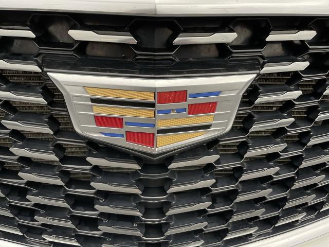 2020 Cadillac XT5 Vehicle Photo in WILLIAMSVILLE, NY 14221-4303