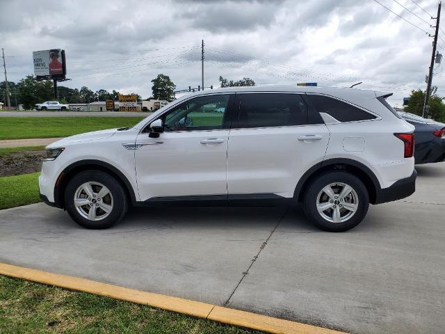 Used 2023 Kia Sorento LX with VIN 5XYRG4LC0PG201854 for sale in Lafayette, LA