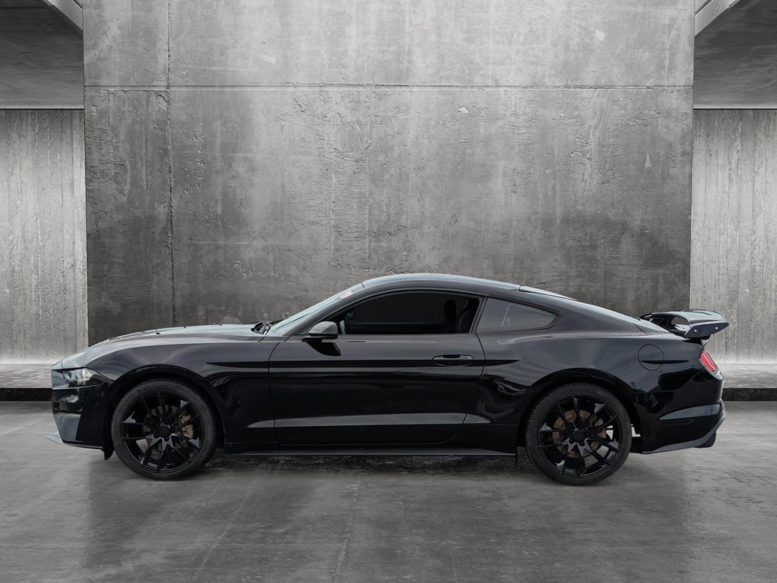 2019 Ford Mustang Vehicle Photo in Bradenton, FL 34207