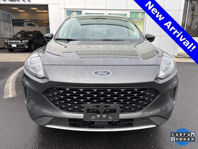 2020 Ford Escape Vehicle Photo in Puyallup, WA 98371