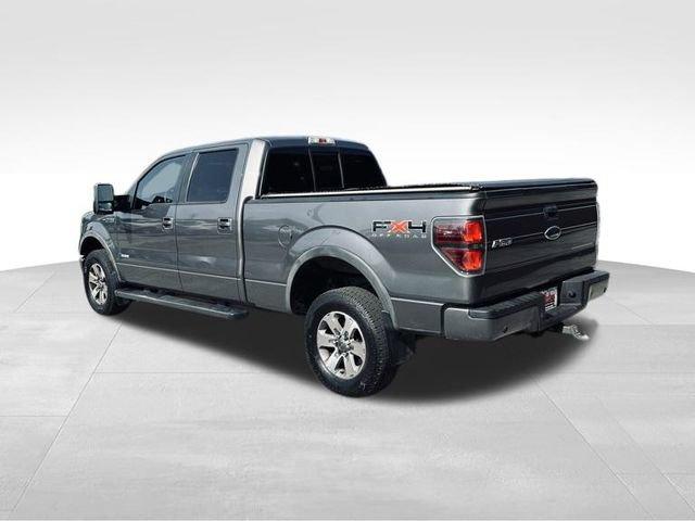 2011 Ford F-150 Vehicle Photo in MEDINA, OH 44256-9631