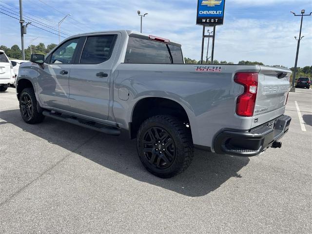 2024 Chevrolet Silverado 1500 Vehicle Photo in ALCOA, TN 37701-3235