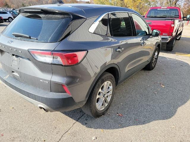 2021 Ford Escape Vehicle Photo in Akron, OH 44312