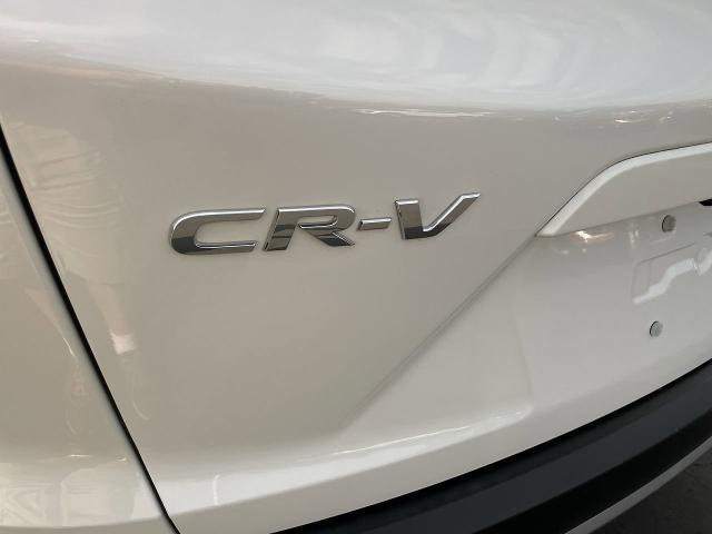 2022 Honda CR-V Vehicle Photo in WILLIAMSVILLE, NY 14221-4303