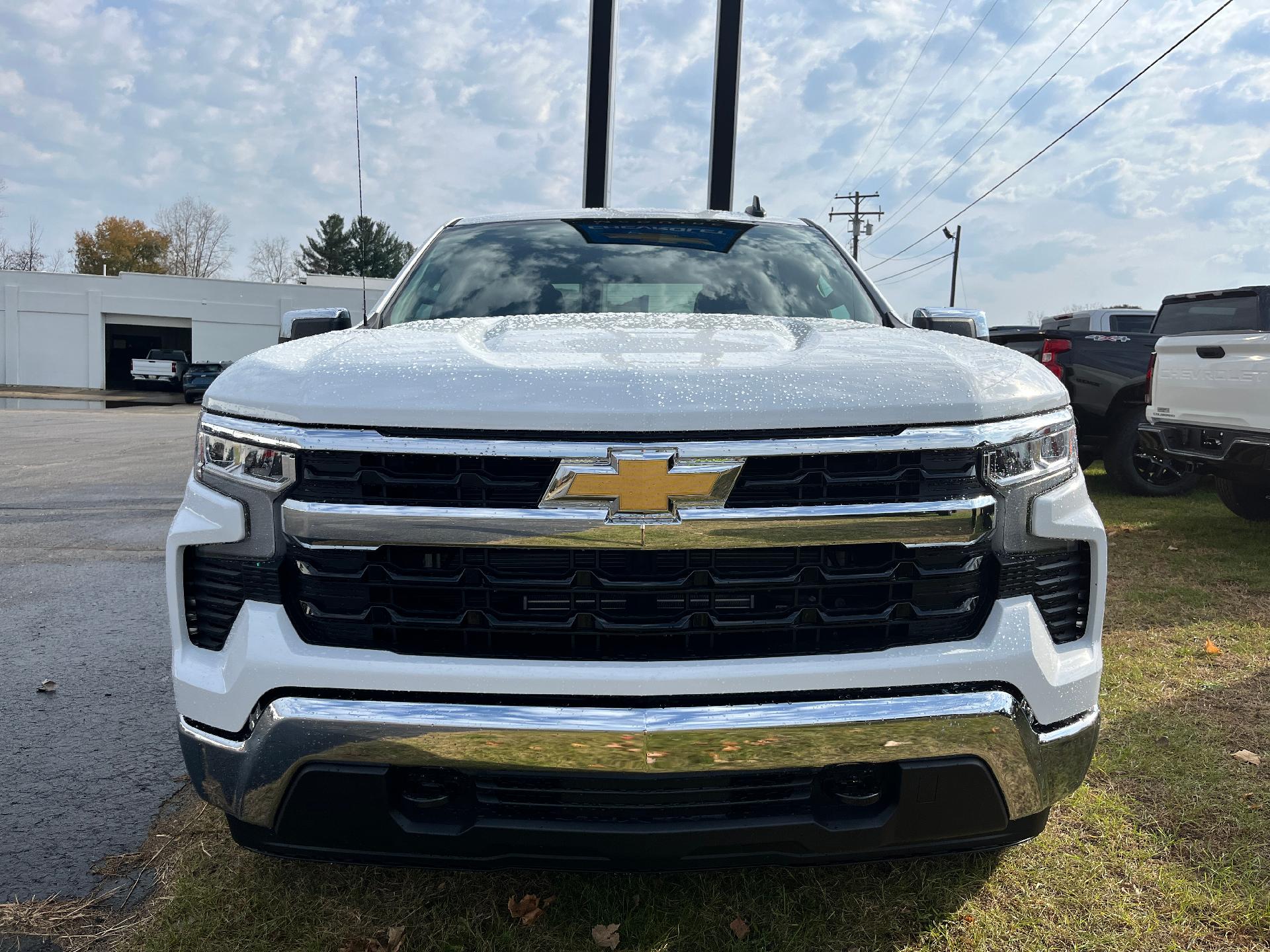 2025 Chevrolet Silverado 1500 Vehicle Photo in CLARE, MI 48617-9414