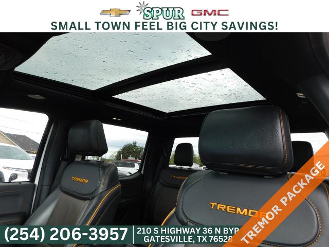 2023 Ford F-150 Vehicle Photo in GATESVILLE, TX 76528-2745