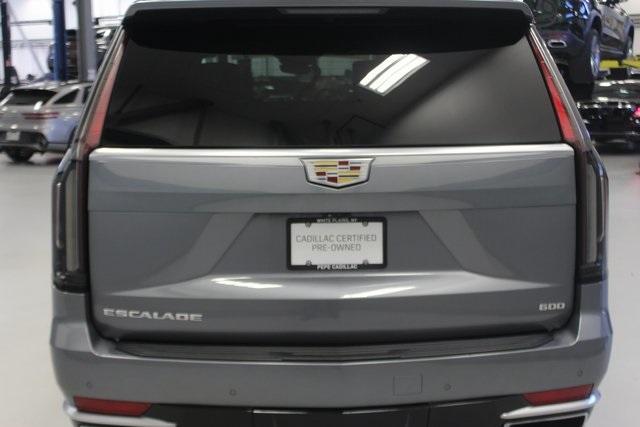 2021 Cadillac Escalade ESV Vehicle Photo in White Plains, NY 10601