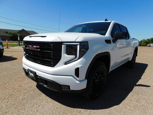 2025 GMC Sierra 1500 Vehicle Photo in Weatherford, TX 76087