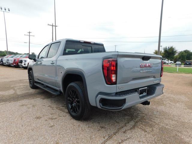 2024 GMC Sierra 1500 Vehicle Photo in GATESVILLE, TX 76528-2745