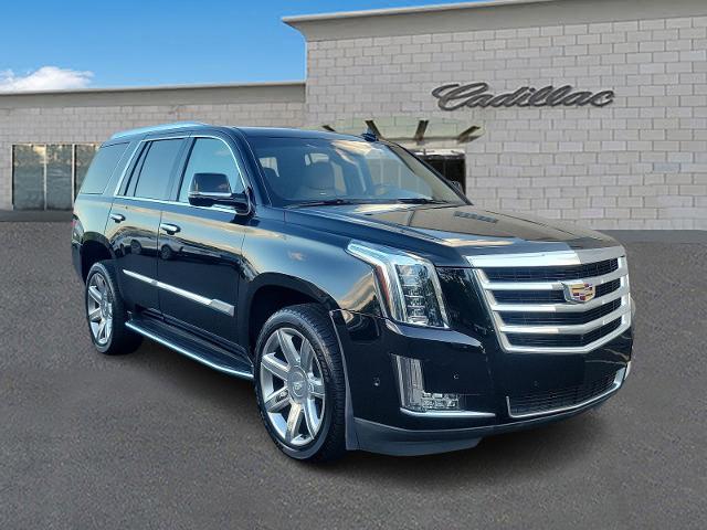 2019 Cadillac Escalade Vehicle Photo in TREVOSE, PA 19053-4984