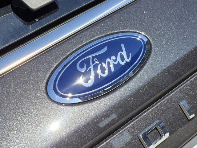 2024 Ford Expedition Vehicle Photo in STEPHENVILLE, TX 76401-3713