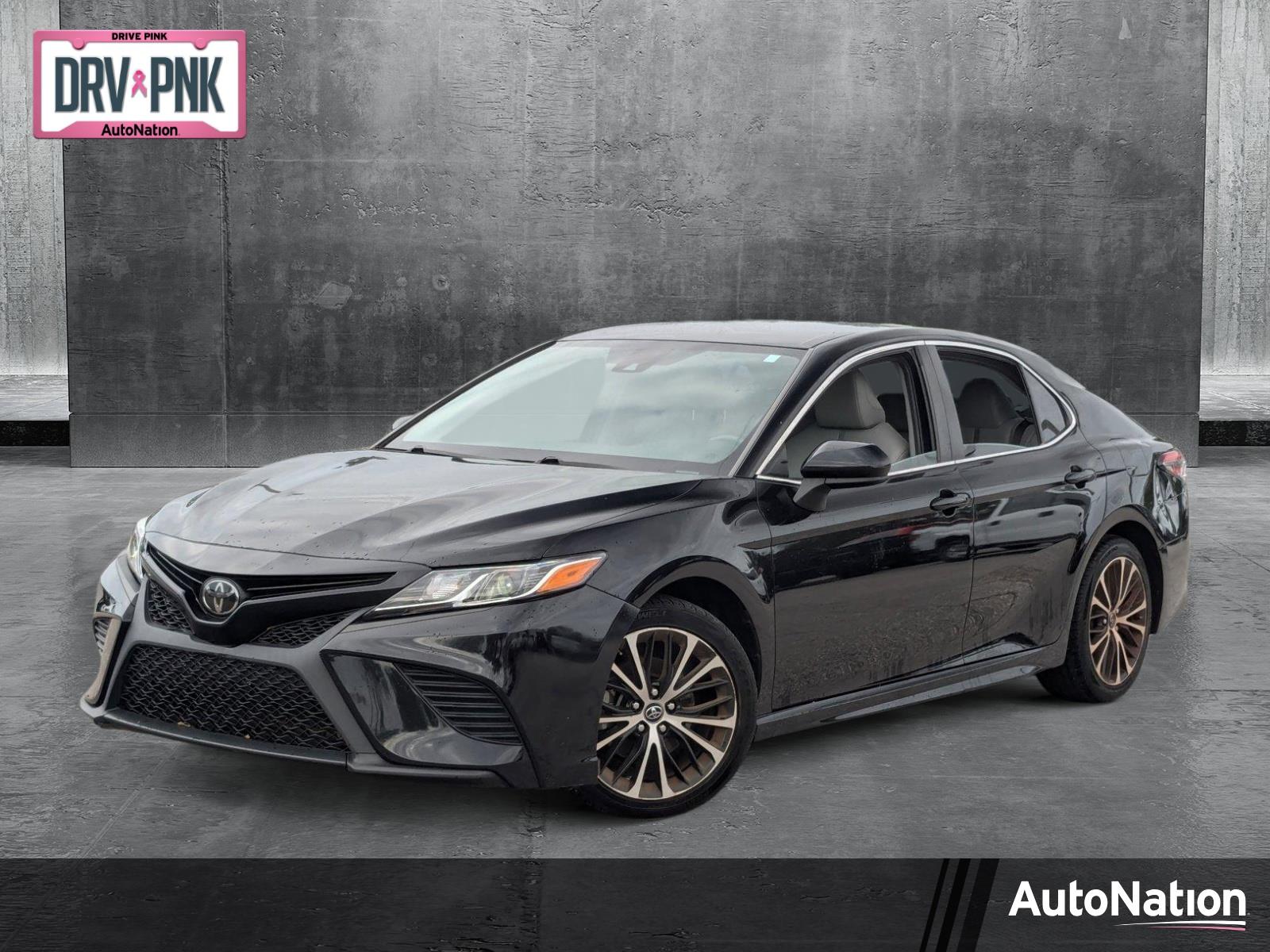 2019 Toyota Camry Vehicle Photo in St. Petersburg, FL 33713