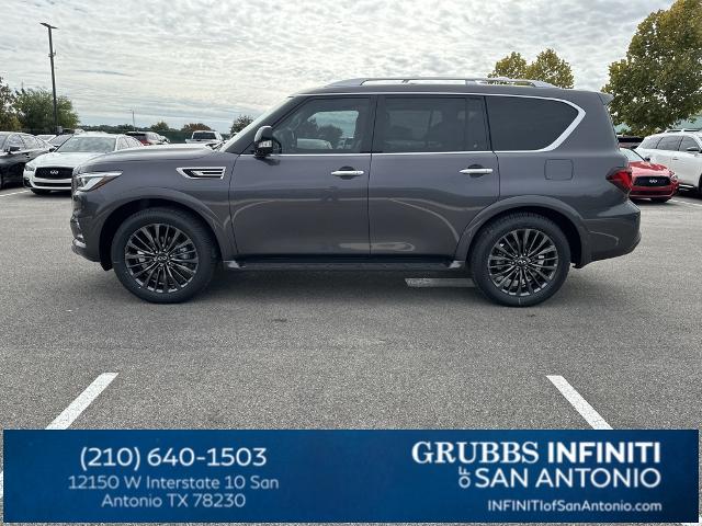 2024 INFINITI QX80 Vehicle Photo in San Antonio, TX 78230