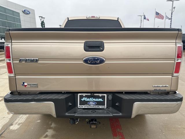 2014 Ford F-150 Vehicle Photo in Terrell, TX 75160