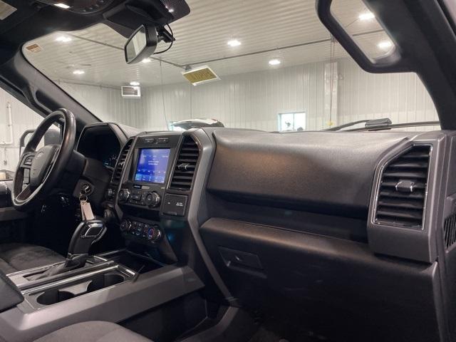 2020 Ford F-150 Vehicle Photo in GLENWOOD, MN 56334-1123