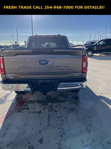 2022 Ford F-150 Vehicle Photo in STEPHENVILLE, TX 76401-3713