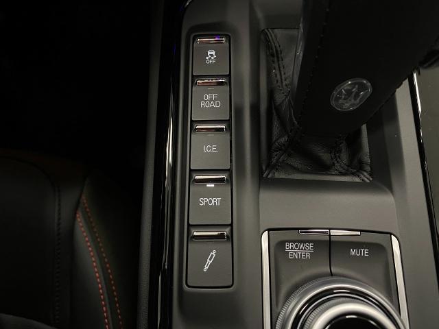 2024 Maserati Levante Vehicle Photo in Appleton, WI 54913