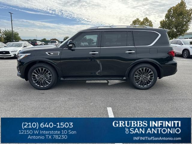 2024 INFINITI QX80 Vehicle Photo in San Antonio, TX 78230