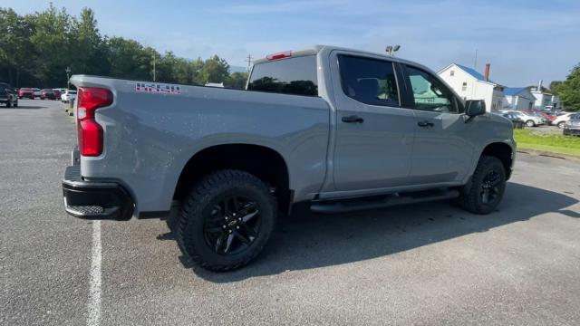 2024 Chevrolet Silverado 1500 Vehicle Photo in THOMPSONTOWN, PA 17094-9014