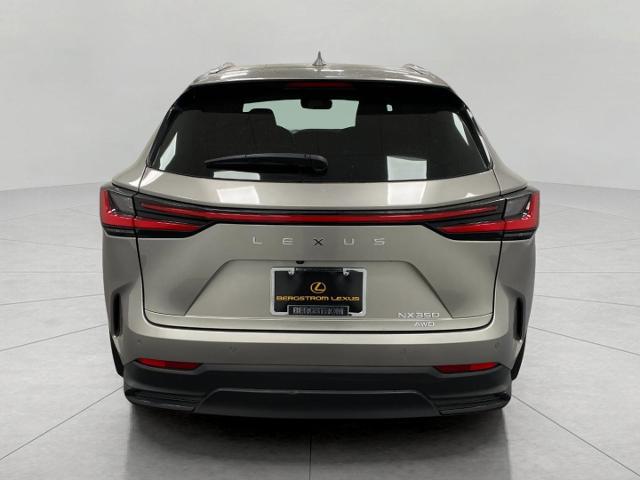 2022 Lexus NX 350 Vehicle Photo in Appleton, WI 54913