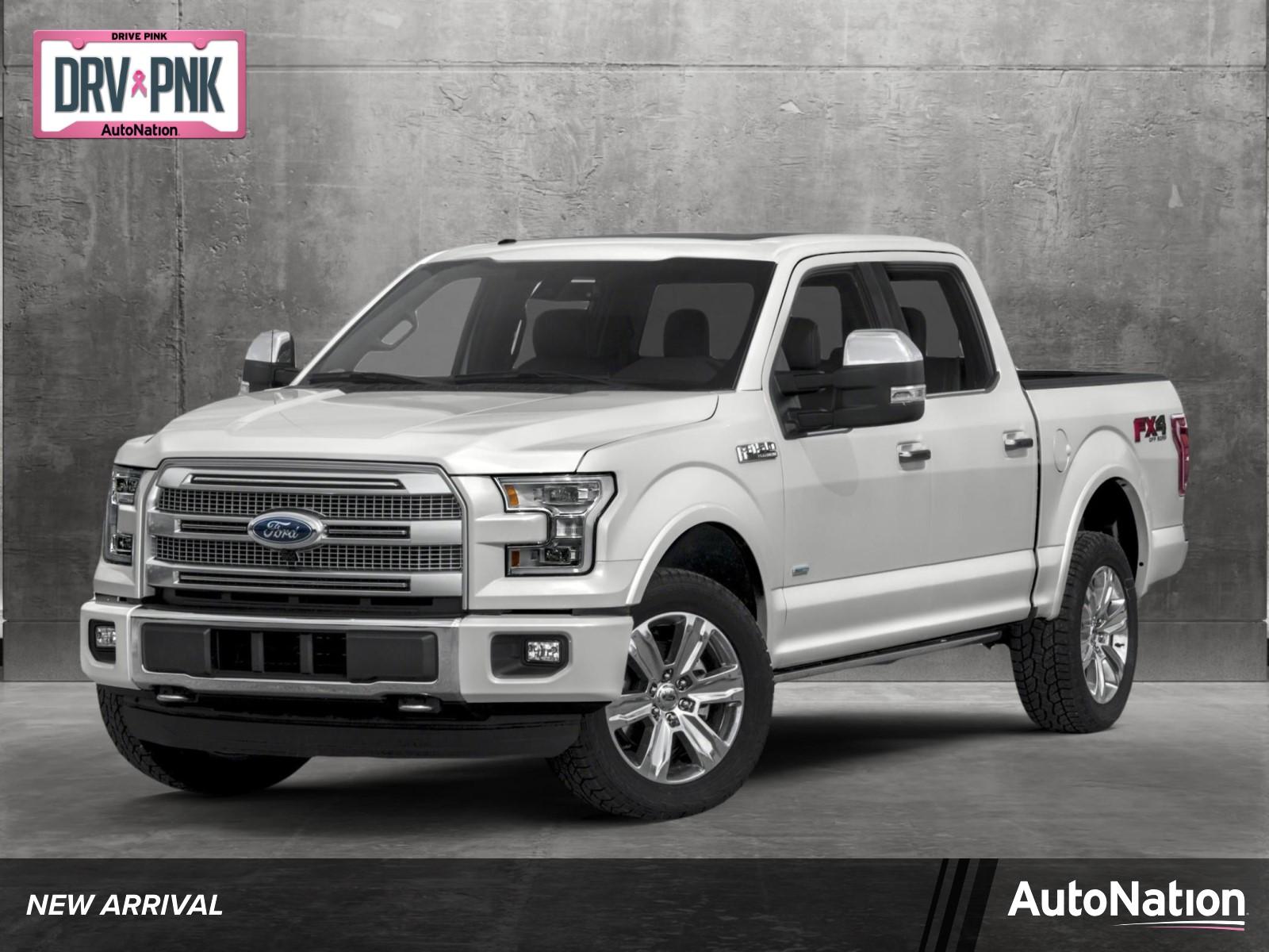 2017 Ford F-150 Vehicle Photo in Clearwater, FL 33761