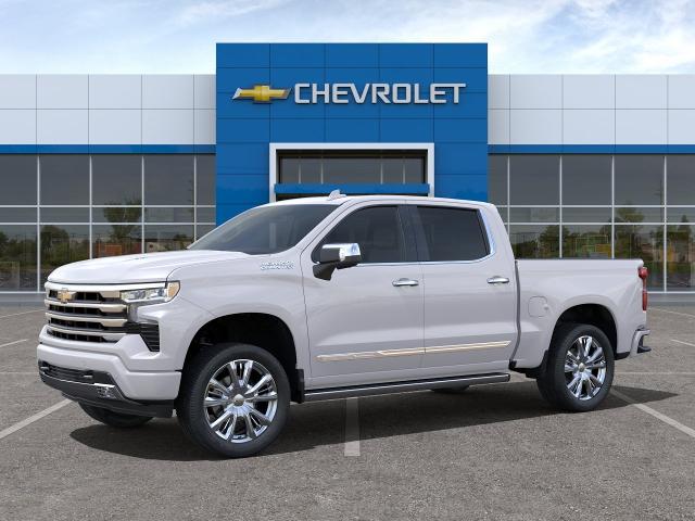 2024 Chevrolet Silverado 1500 Vehicle Photo in OWATONNA, MN 55060-4060