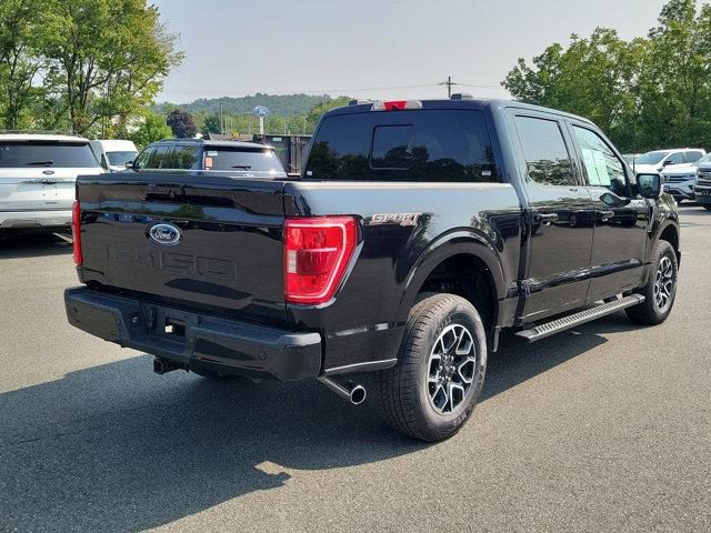 2022 Ford F-150 Vehicle Photo in Boyertown, PA 19512