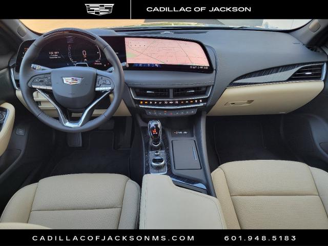 2025 Cadillac CT5 Vehicle Photo in RIDGELAND, MS 39157-4406